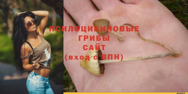 прущие крисы Мегион