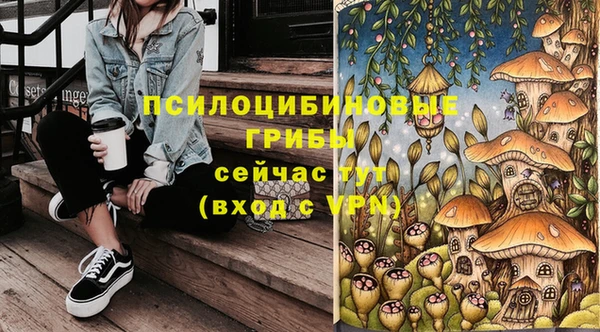 прущая мука Медногорск