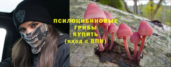 прущие крисы Мегион